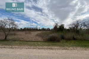 TERRENO AGRICOLO