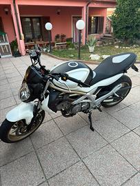 Suzuki gladius 650