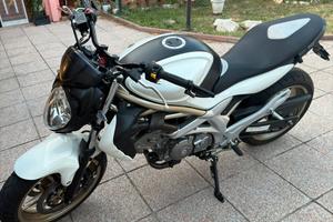 Suzuki gladius 650