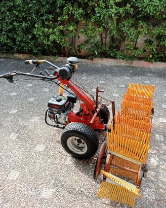 trattorino per olive 