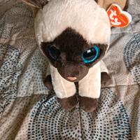 Peluche Gatto Siamese Jaden