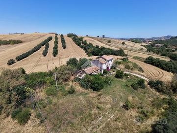 TERRENO A SANT'OMERO