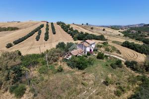 TERRENO A SANT'OMERO