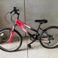 Bicicletta mountain bike mai usata 24”