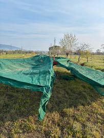 Raccoglitrice con Teli Laterali – Usato in Ottime.