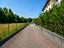 Immagine 12