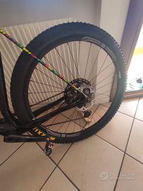 MTB torpado