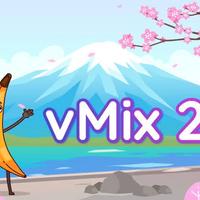Licenza software vMix HD 29