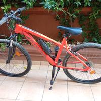 2 biciclette buono stato