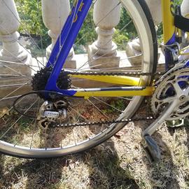 bici Olmo team Karaml