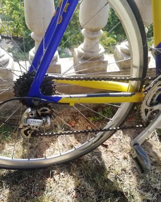 bici Olmo team Karaml