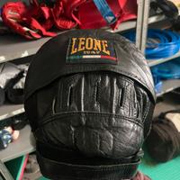 Pav e Pao LEONE professionali