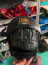 Pav e Pao LEONE professionali