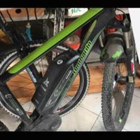 Bici elettrica