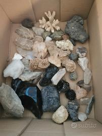 minerali da collezione