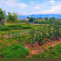 Campo agrigolo meraviglioso 6000 mq