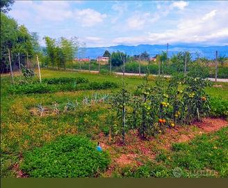 Campo agrigolo meraviglioso 6000 mq