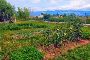 Campo agrigolo meraviglioso 6000 mq