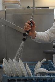 Ausiliaria lavapiatti