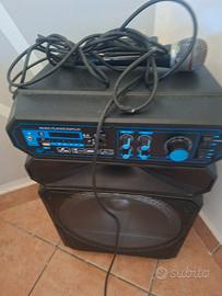 Cassa con microfono
