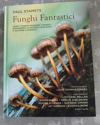 Funghi fantastici 