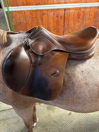 Sella Rubino MD AS-X prestige