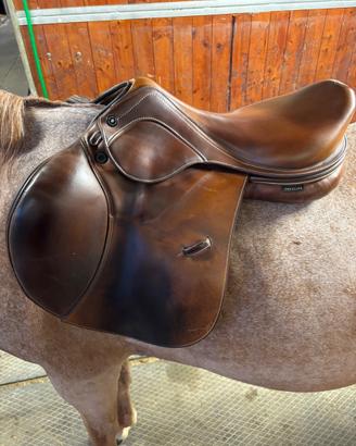 Sella Rubino MD AS-X prestige