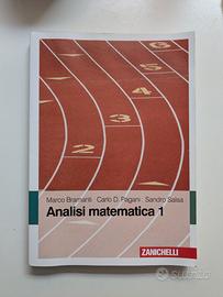 Analisi matematica 1 - Bramanti, Pagani, Salsa
