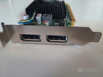 Scheda video Nvidia nvs310