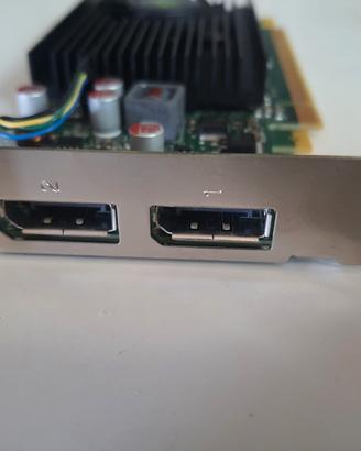 Scheda video Nvidia nvs310