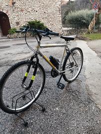 bicicletta (MTB) 