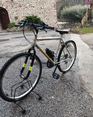 bicicletta (MTB) 