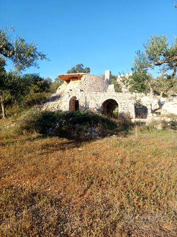 Terreno agricolo torretta ostunese uliveto