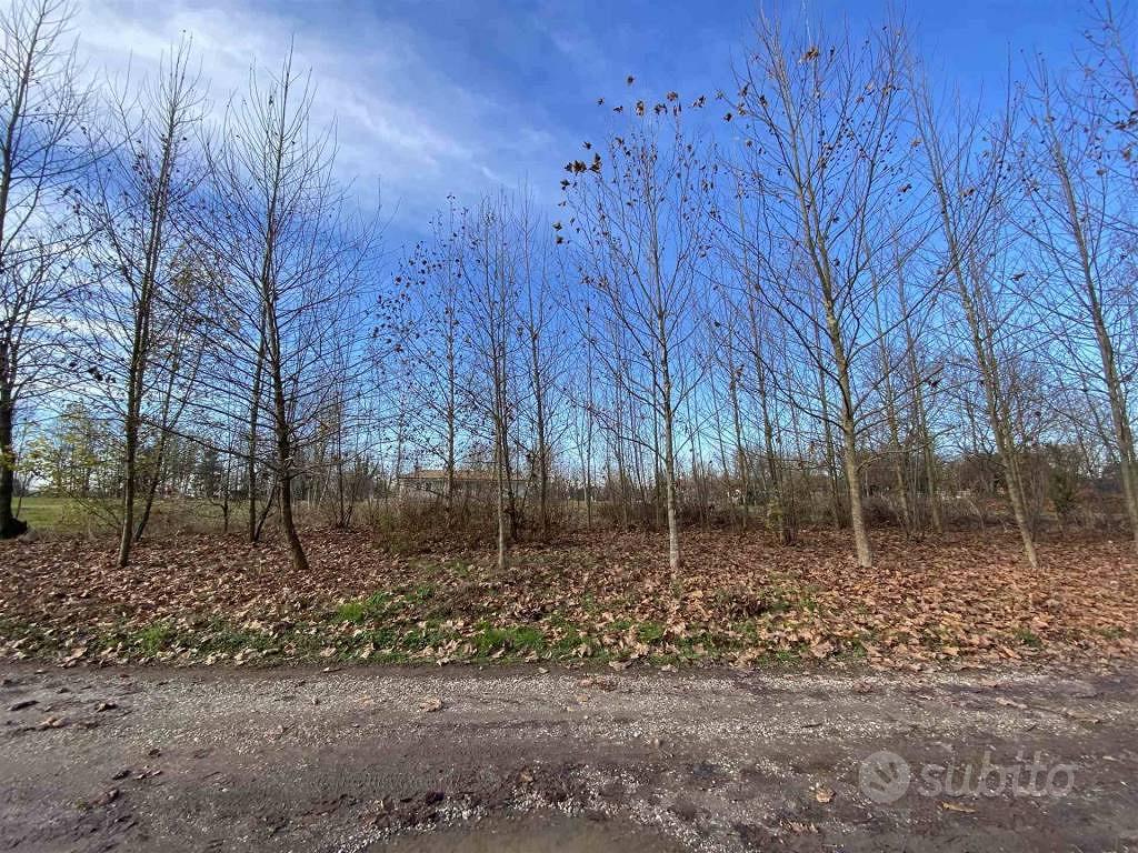 Terreno di 1100 m² a Teglio Veneto - Vista 2