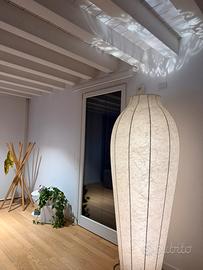 Flos Chrysalis