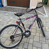 Bicicletta mountain bike