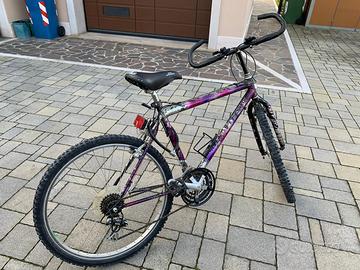 Bicicletta mountain bike
