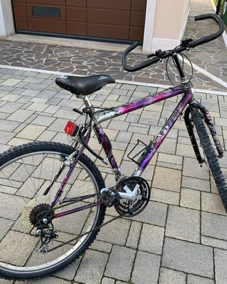Bicicletta mountain bike