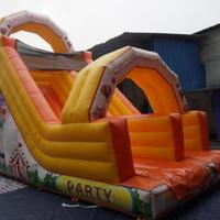 Scivolo Gonfiabile per bambini gigante in pvc