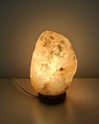 Lampada Grezza di Sale Himalayano Rosa