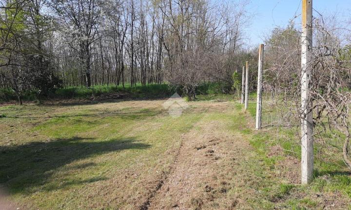 TER. AGRICOLO A SAN GIORGIO CANAVESE