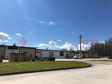 Negozio Cassino [FILARO600_PFACG]