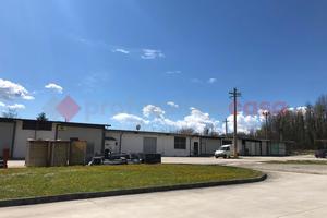 Negozio Cassino [FILARO600_PFACG]