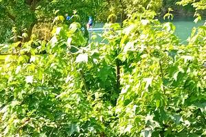 Casa singola NO AGENZIE NO INTERMEDIAZIONE