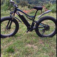 Bici elettrica
