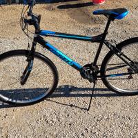 Mtb Hogan H2700