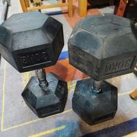 Coppia manubri esagonali 30 kg