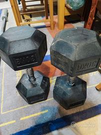 Coppia manubri esagonali 30 kg