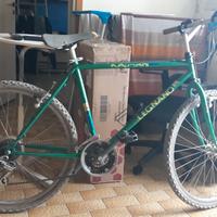 bici Mountain bike Legnano verde 26