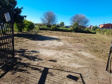 Terreno 1000mq a Nettuno